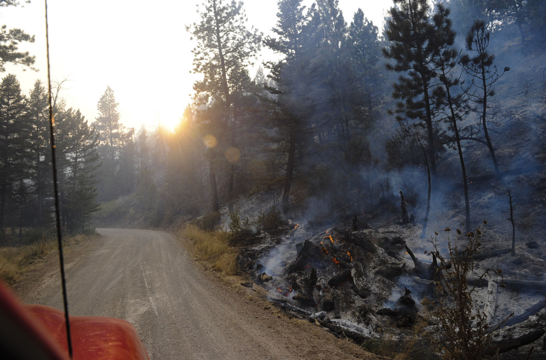 Holmes Gulch charred
